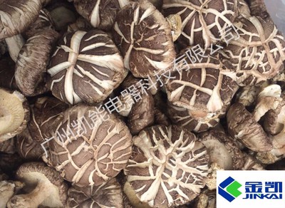 空氣能香菇烘干機 高效節能的香菇干燥解決方案